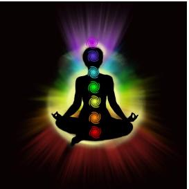 NUESTROS CHAKRAS