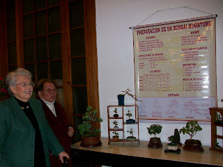 CLUB PERUANO DE BONSAI: Exposición del "CLUB PERUANO DE BONSAI"