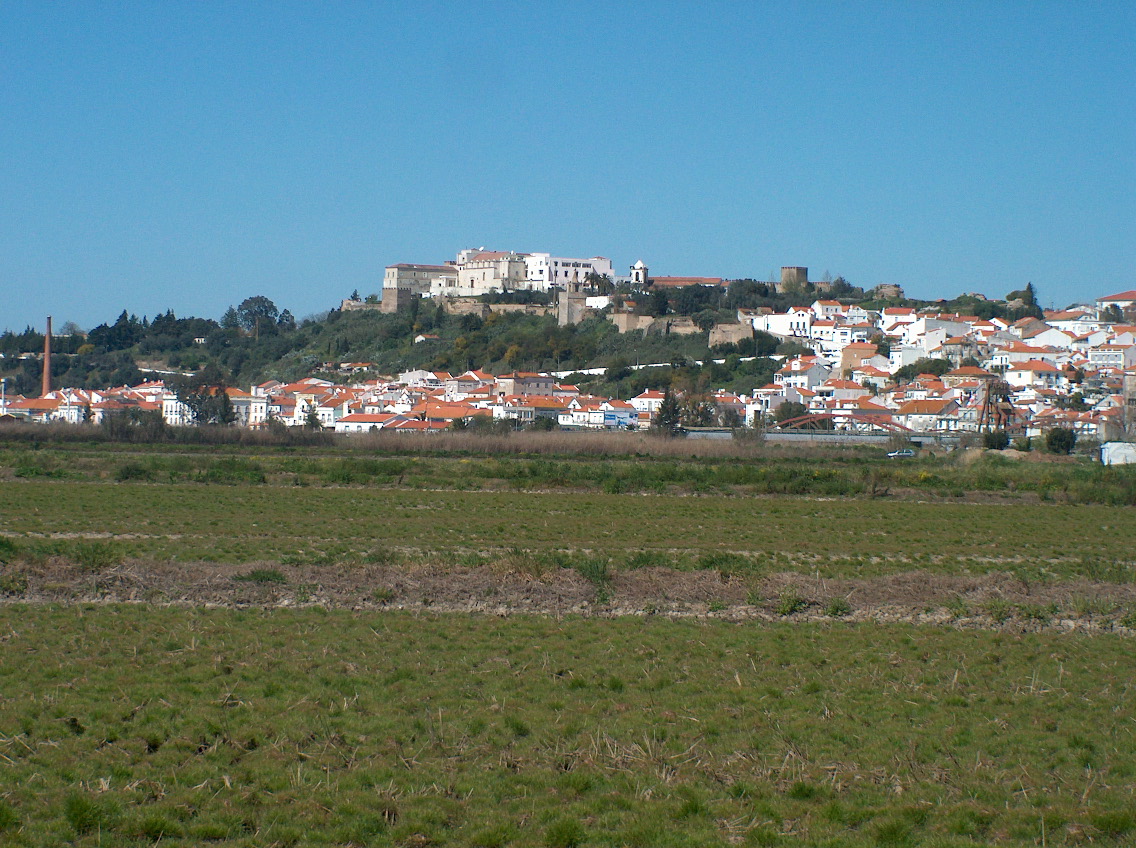 [HPIM5395.JPG]