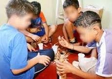 O que é o tempo a análise um calla em parasitas torna-se