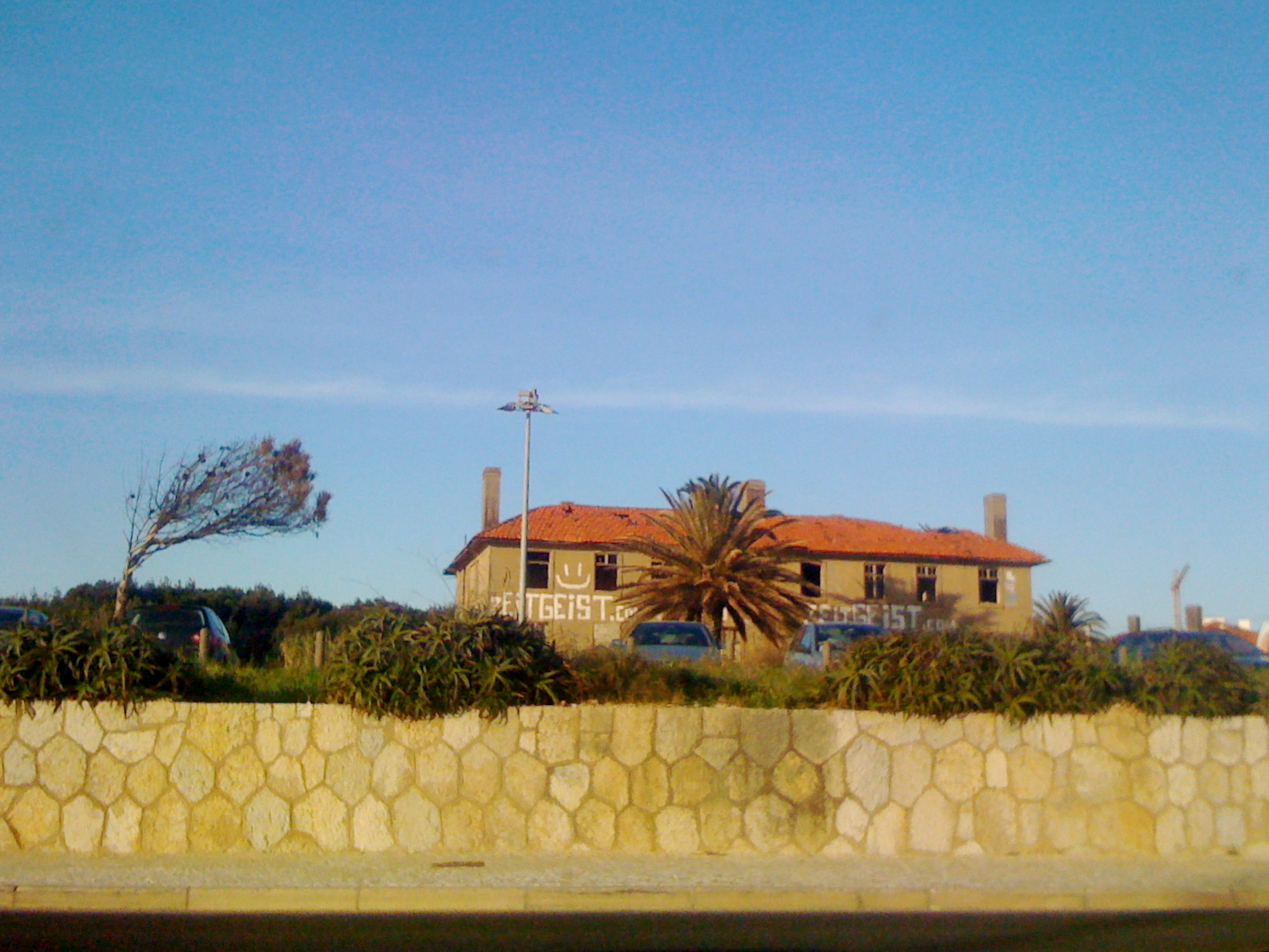 [IMG_4263.JPG]