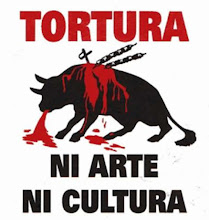 TORTUTA PURA Y DURA