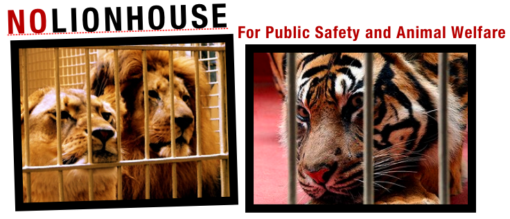 NO LION HOUSE