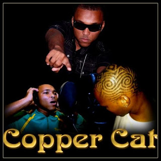 copper+cat.jpg
