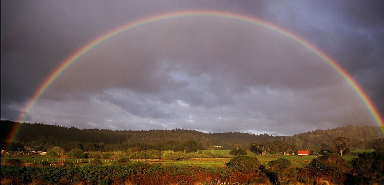 Rainbow over Humboldt County