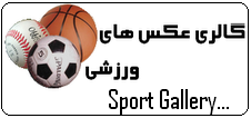 Delfan sport gallery