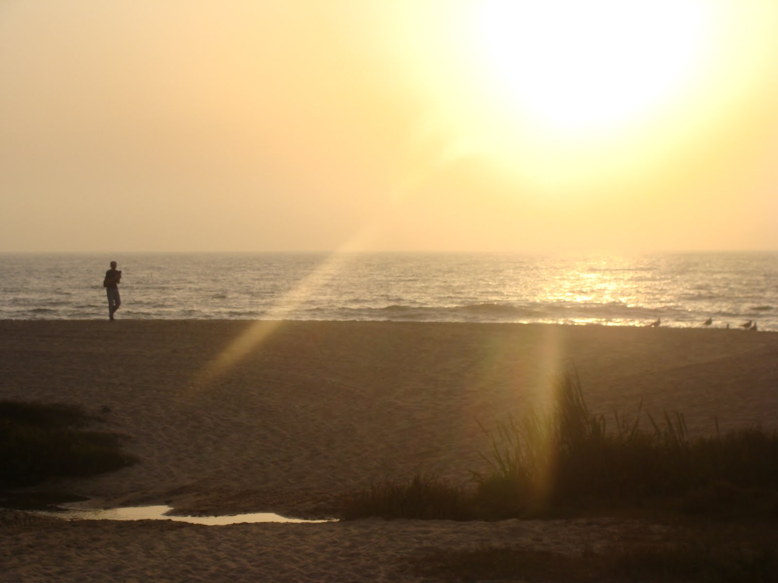 [DSC07096.JPG]