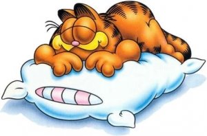 [garfield_dormindo.jpeg]