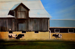 Barn and Cows