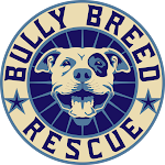 Bully Breed Rescue, Inc.