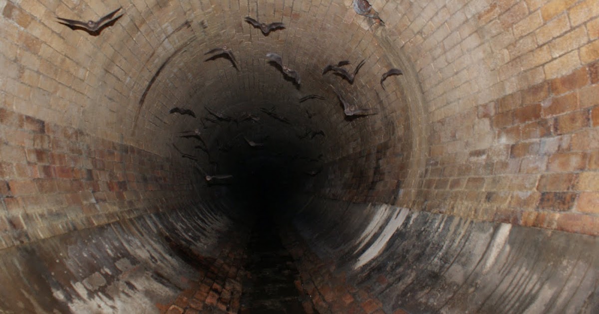 peter Burford's bat cave