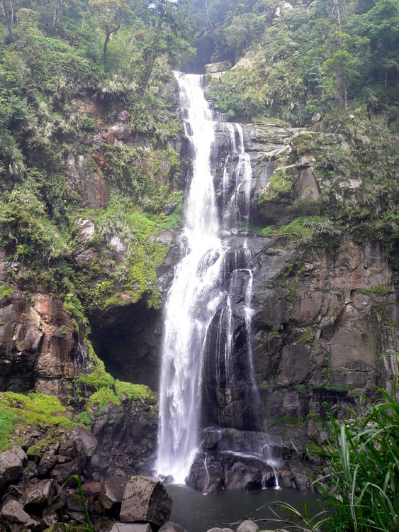 Shan Shi