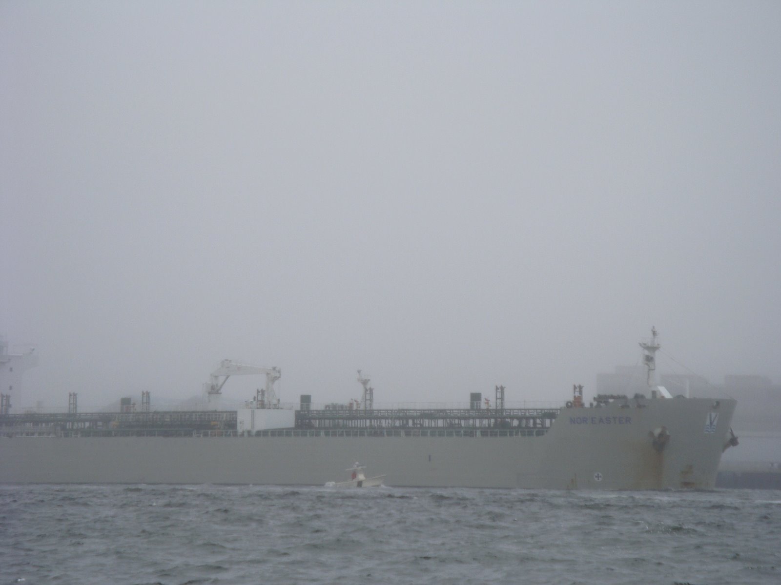 [DSC01443.JPG]