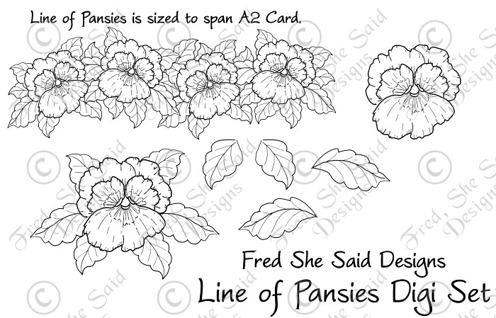 [FSS-Line+of+Pansies+PREV.jpg]