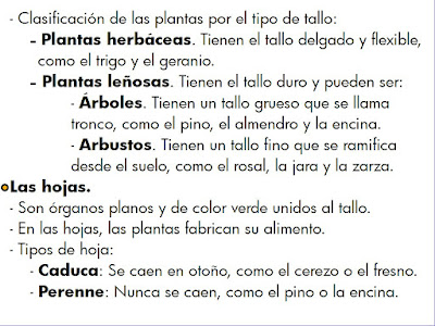 Ms María González: enero 2011