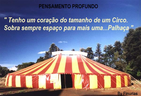 [circo_interna.jpg]