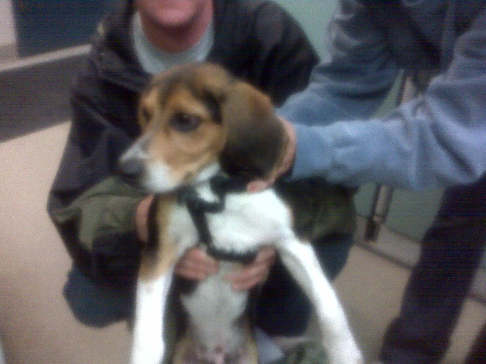 [Pup.bmp]