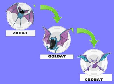 Pokemon Zubat Evolution