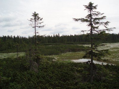 [P6300066.jpg]