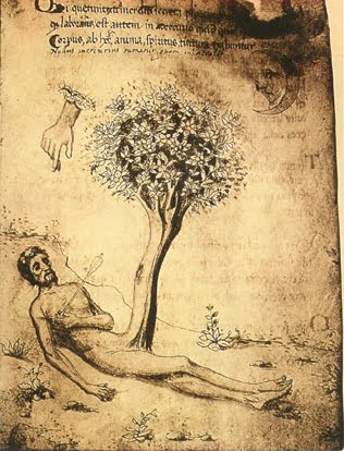 [philosophical-tree.jpg]