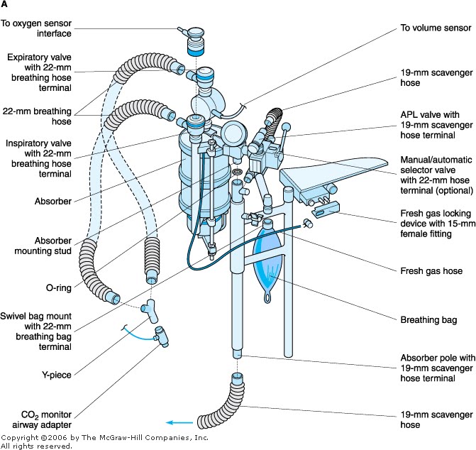 (DOCX) Mesin Anestesi Digunakan Oleh Ahli Anestesi Untuk Mendukung