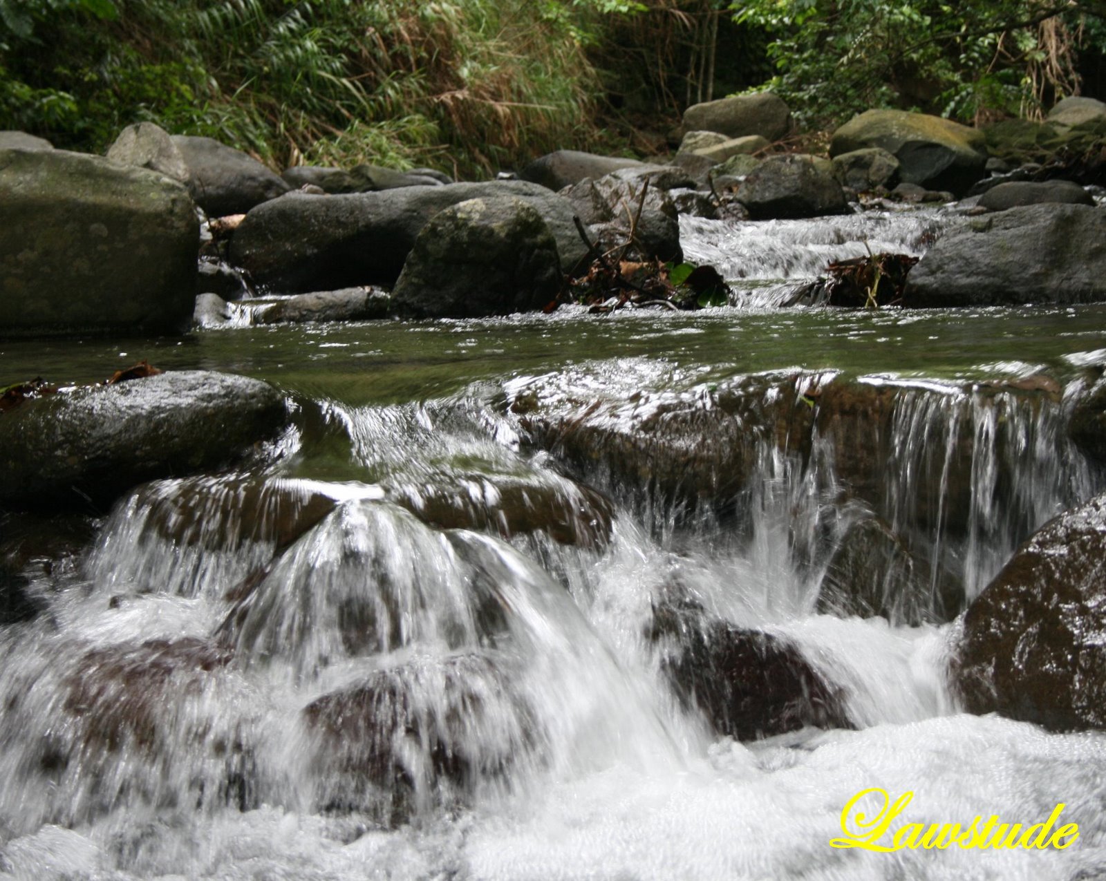 [Flow+6.JPG]