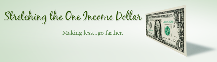 STRETCHING THE ONE INCOME DOLLAR