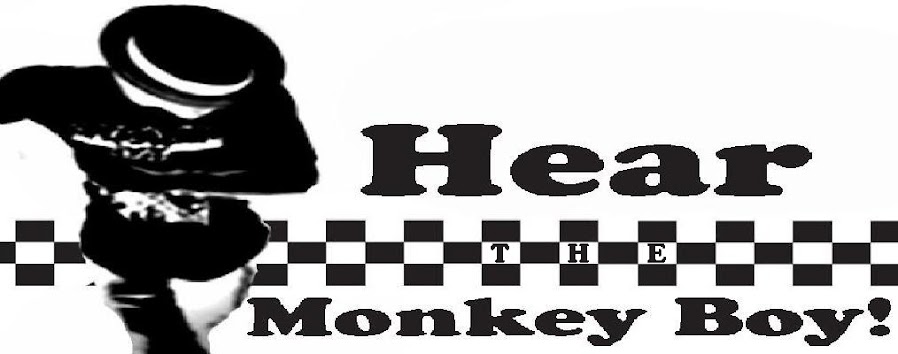 Blog Rafael Monkey Boy