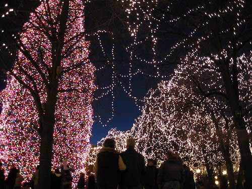 [tumblr_ku7dewnHtX1qzyc1do1_500_large.jpg]