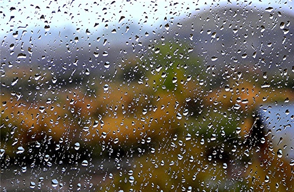 Fly Fishing In Yellowstone National Park The Perfect Rain Fly