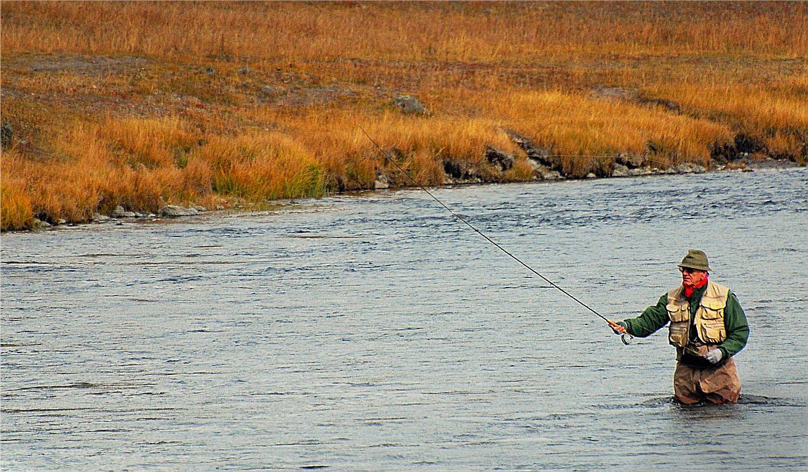 Fly Fishing In Yellowstone National Park Pick Your Poison