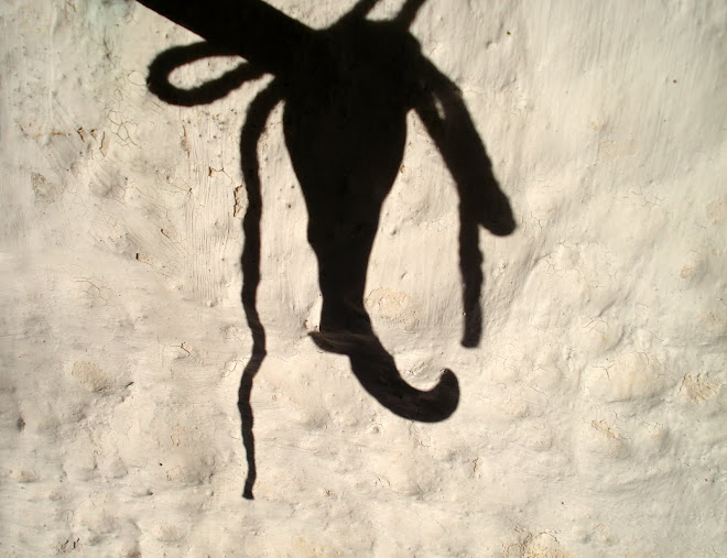 shadow play... the very hard position of not being....