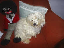 Poppy