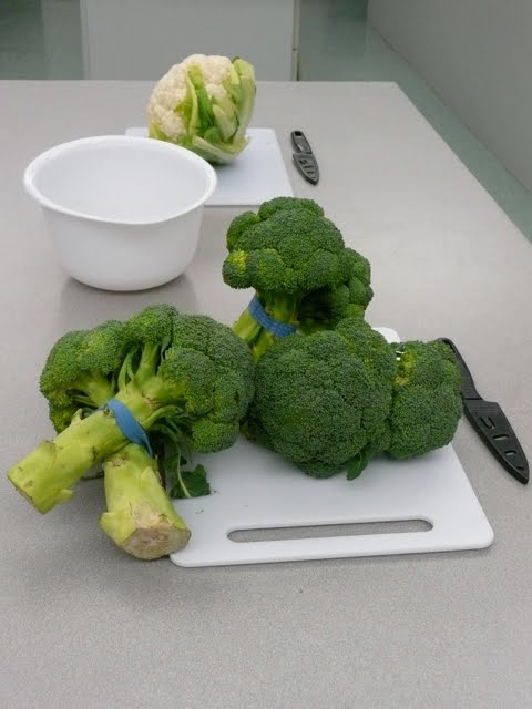 [P1100080.jpg]