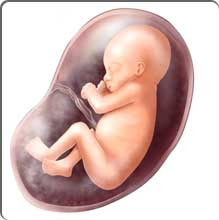 25 Weeks Pregnant!