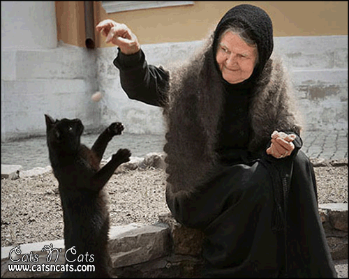 old-woman-feeding-black-cat.gif