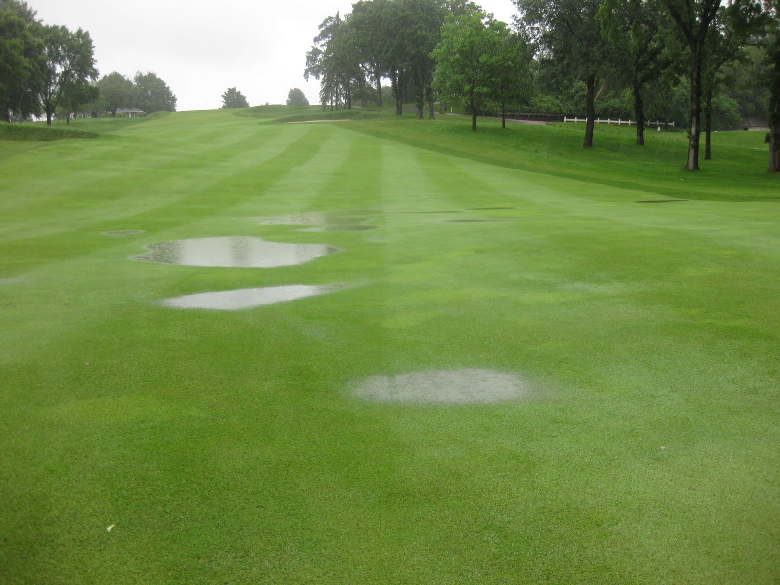 Drainage Project 9th Fairway
