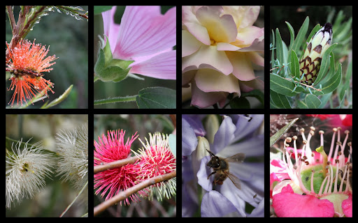 Cubby House Gardens