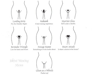 Pubic Hair Style on Endless Journey  Brazilian Waxing   The Joy To A Hair Less Lifestyle