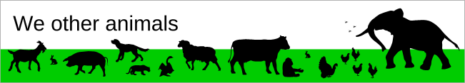 We Other Animals