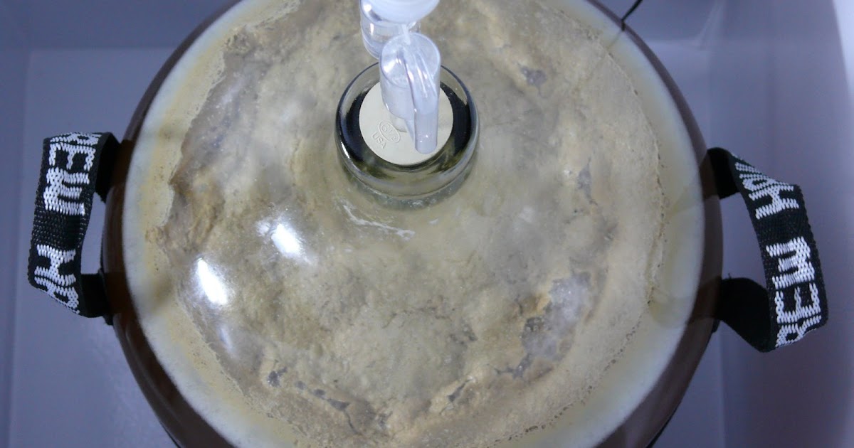 Dry Wolf Brewing Co. Krausen Pilsner fermentation