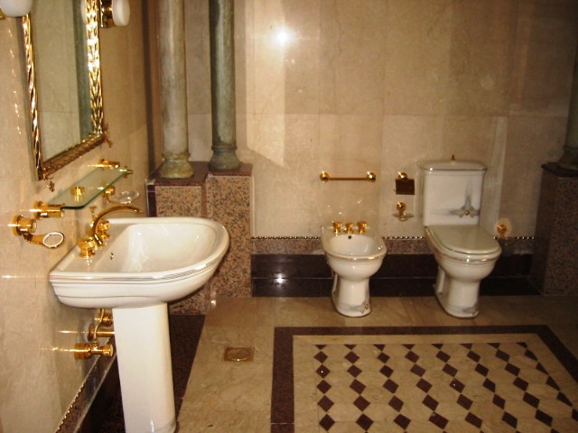 saddam's+toilet.jpg