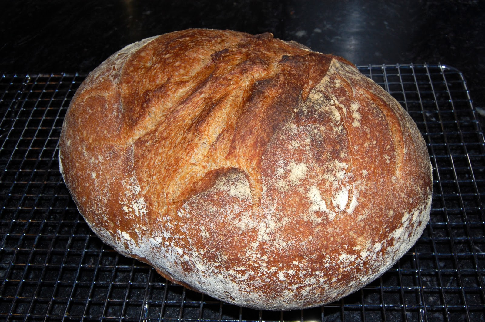 Bread Cookbook