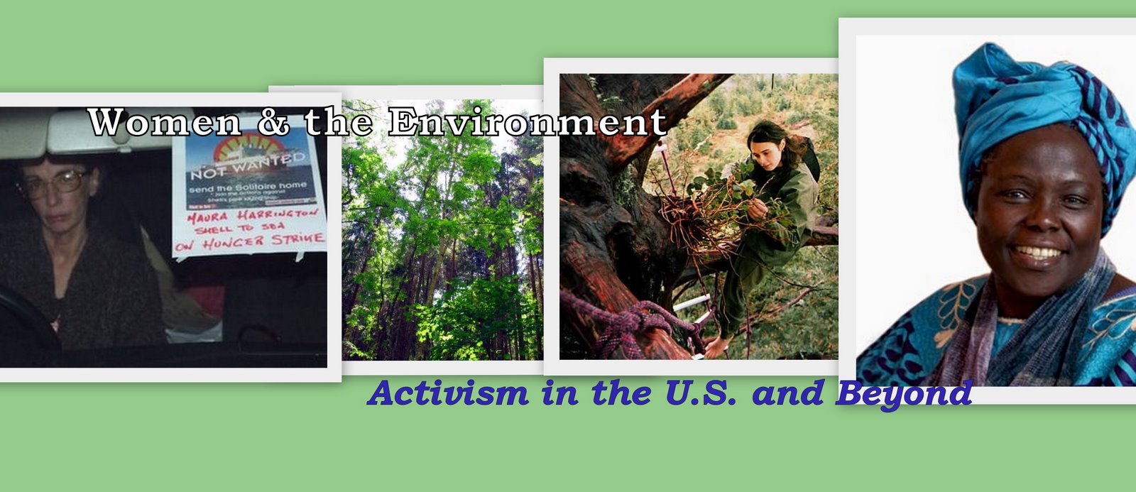 Women & The Environment