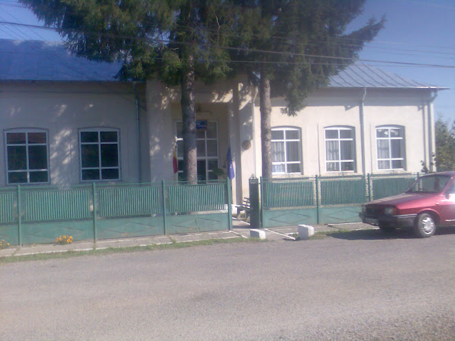 scoala privita de pe strada