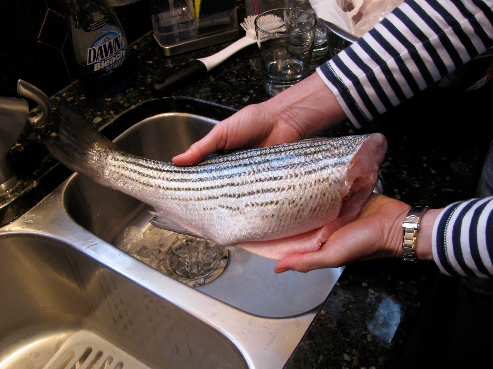 Carolina Foodie STRIPED BASS