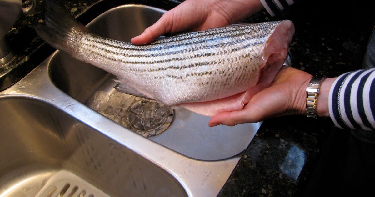 Carolina Foodie STRIPED BASS