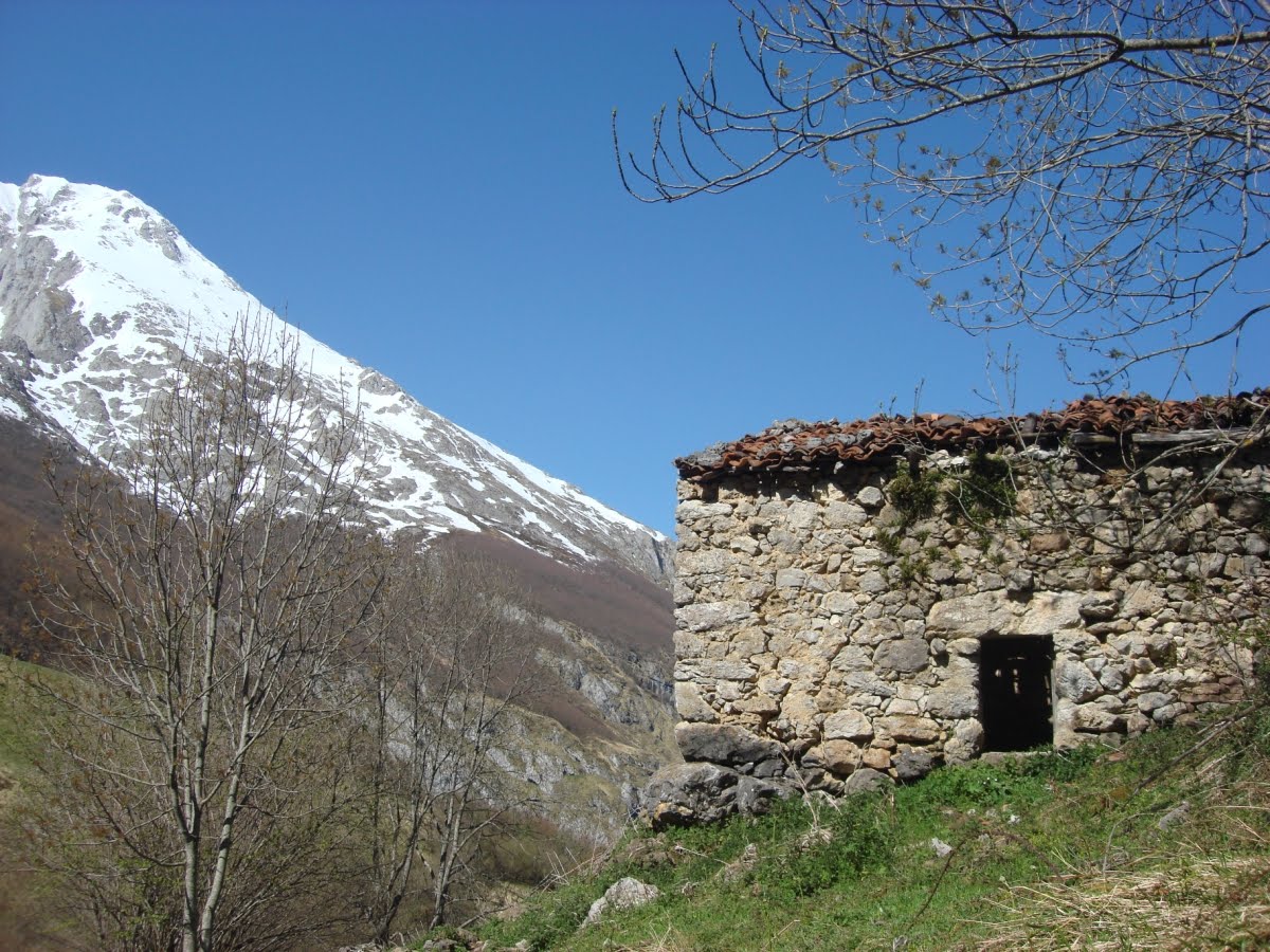 [DSC03728+[Desktop+Resolution].JPG]