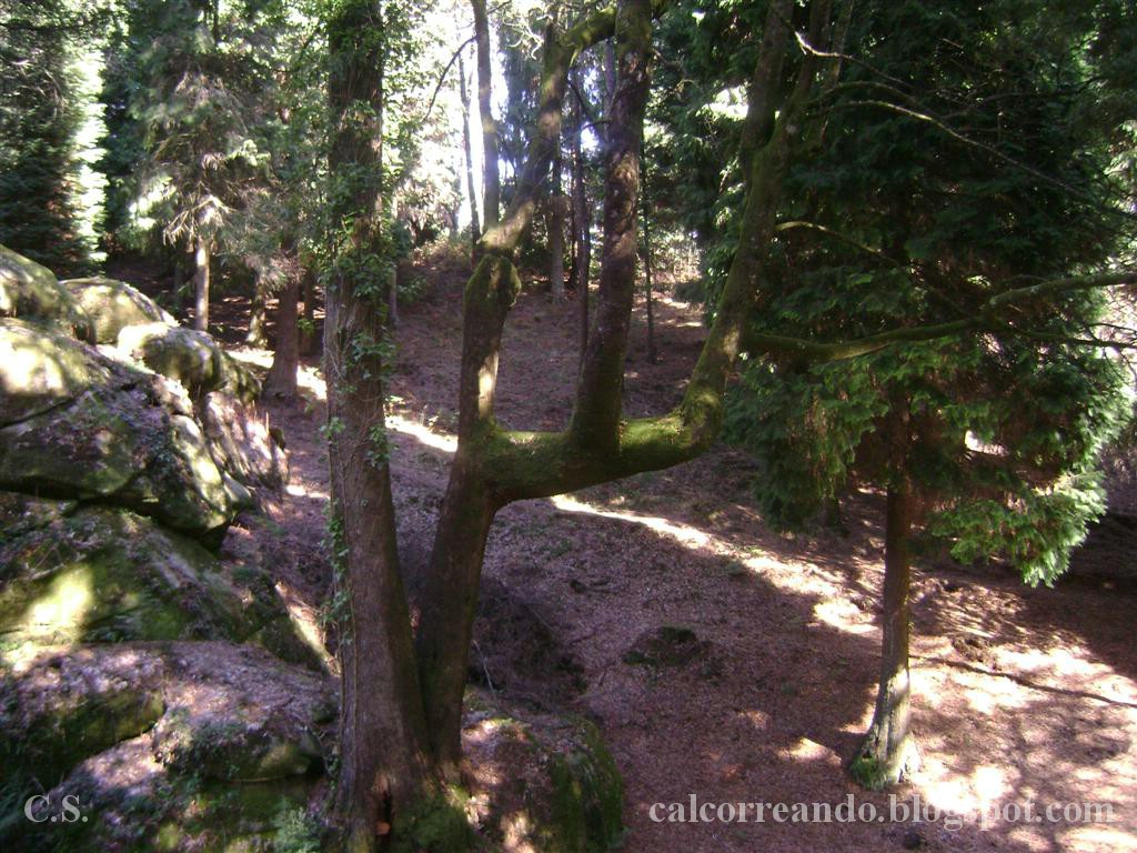 [680+DSC02833+(Large).jpg]