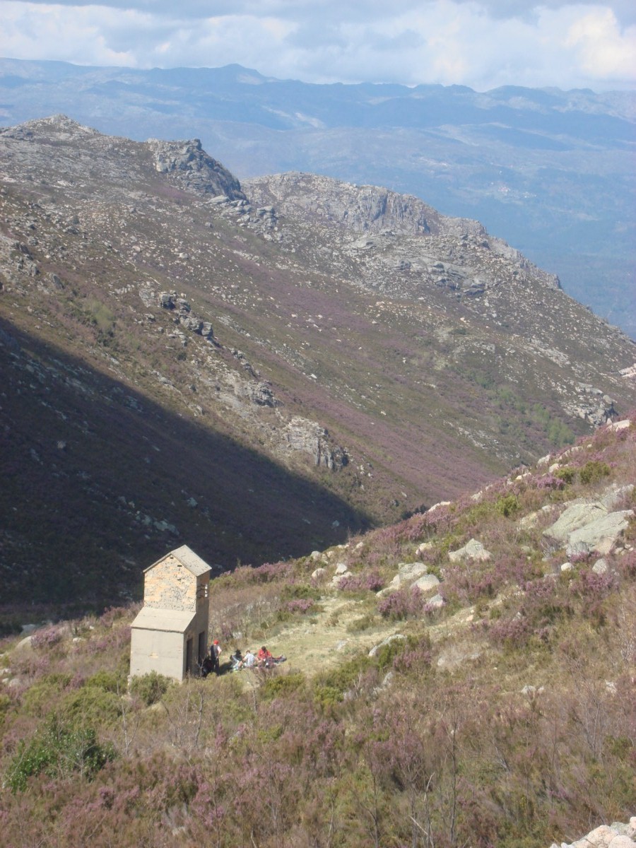 [DSC01336+[Desktop+Resolution].JPG]